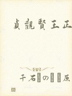 贞观贤王正版