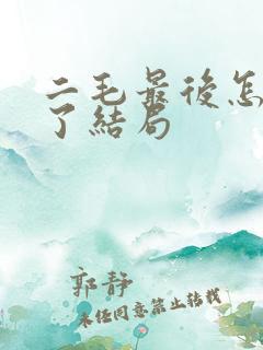 二毛最后怎么样了结局