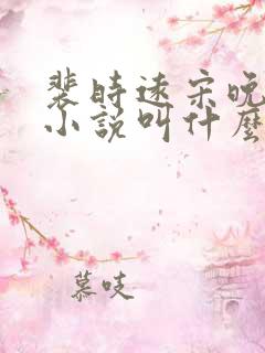 裴时远宋晚宁的小说叫什么名字
