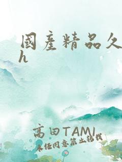 国产精品久久久h