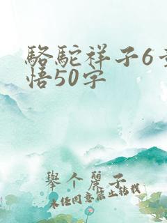 骆驼祥子6章感悟50字
