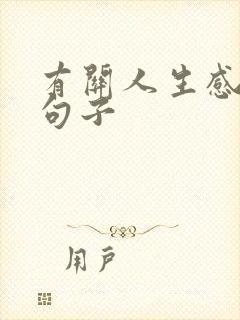 有关人生感悟的句子