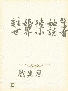 离婚后她惊艳了世界小说看