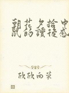 朝花夕拾中猫狗鼠的读后感200字 朝花夕拾中猫狗鼠的读后感200字