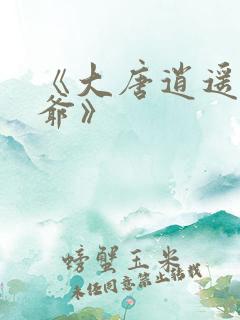 《大唐逍遥驸马爷》