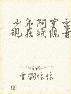 少年阿宾电影再现在线观看免费