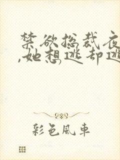 禁欲总裁夜夜缠,她想逃却逃不掉温澜无删