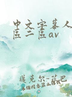 中文字幕人妻一区二区av