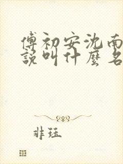 傅初安沈南雾小说叫什么名字