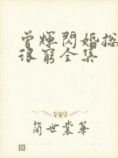 曾辉闪婚总裁都很穷全集