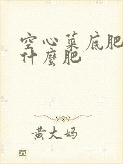 空心菜底肥要用什么肥