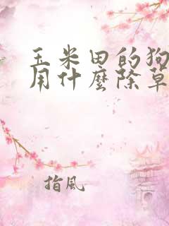 玉米田的狗尾草用什么除草剂