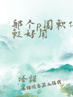 那个p图软件比较好用
