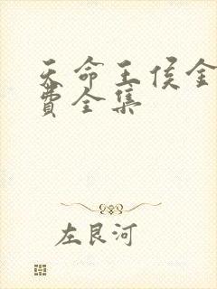天命王侯金锋免费全集