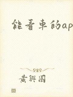 能看车的app