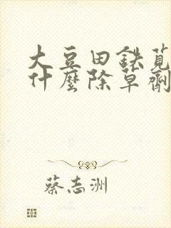 大豆田铁苋菜用什么除草剂防除?