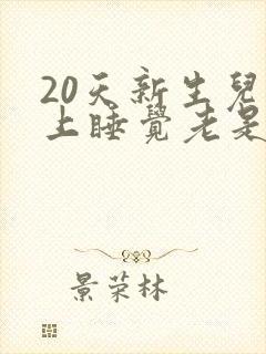 20天新生儿晚上睡觉老是哼哼唧唧