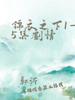 锦衣之下1—55集剧情
