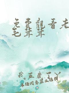 免费观看老太婆毛茸茸