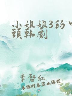 小姐姐3的中字头韩剧