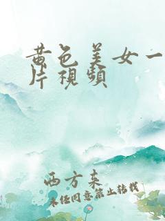黄色美女一级大片视频