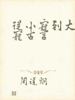 从小宠到大的甜宠古言