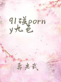 91碰porny九色