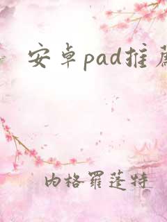 安卓pad推荐