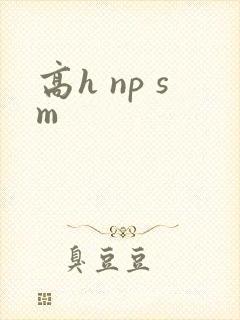 高h np sm