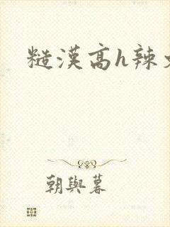 糙汉高h辣文