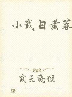 小武日黄蓉