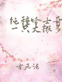 纯种哈士奇幼犬一只大概多少钱