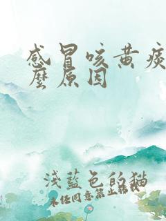 感冒咳黄痰是什么原因
