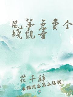 风筝免费全集在线观看
