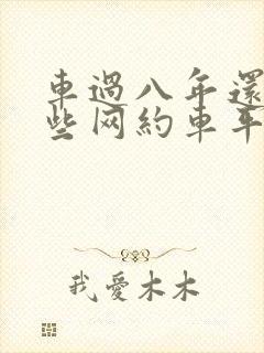 车过八年还有哪些网约车平台可以跑