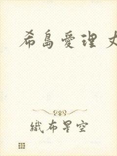 希岛爱理 丈夫