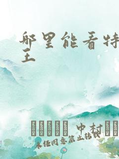 哪里能看特战兵王