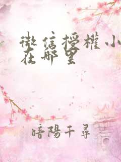 微信授权小程序在哪里