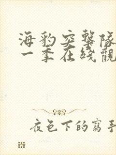 海豹突击队 第一季在线观看
