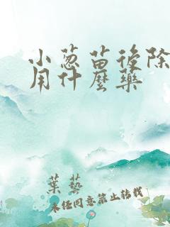 小葱苗后除草剂用什么药 小葱苗后除草剂用什么药