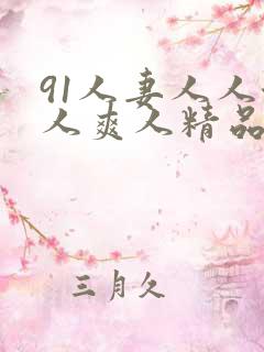 91人妻人人澡人爽人精品