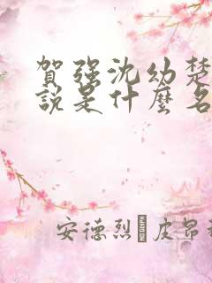 贺强沈幼楚的小说是什么名字