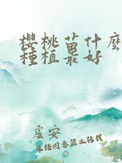 樱桃苗什么时候种植最好