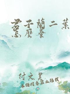 君子兰二叶小苗怎么养