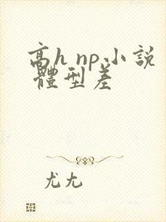 高h np小说 体型差