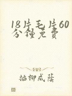 18片毛片60分钟免费