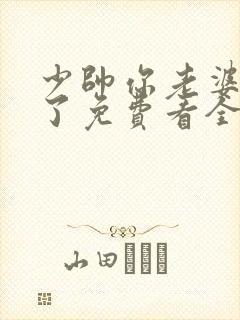 少帅你老婆又跑了免费看全文