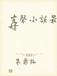 有声小说最强弃婿