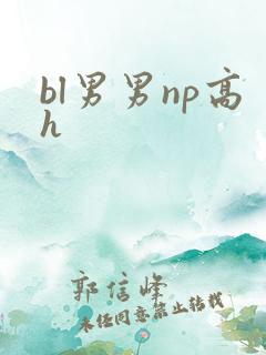 bl男男np高h