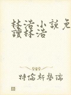 林浩小说免费阅读林浩